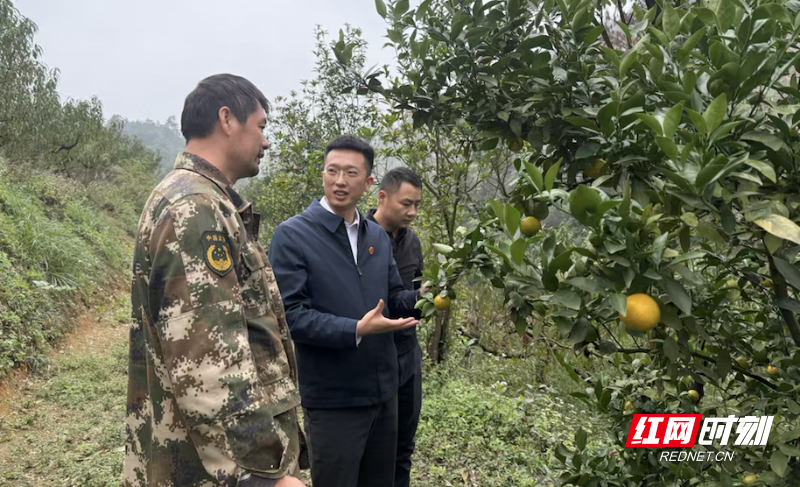 WX20251203-163628.png WX20251203-163628.png