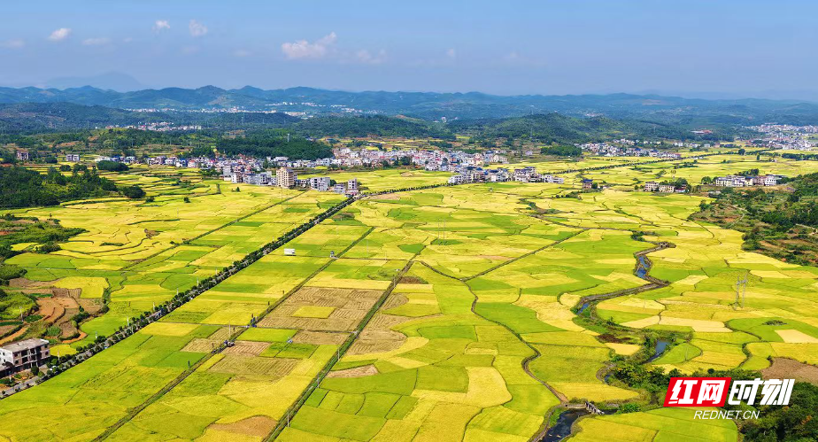 0ff3d020eb5ba9ce6866f0e0a4f1cf1.jpg 0ff3d020eb5ba9ce6866f0e0a4f1cf1.jpg