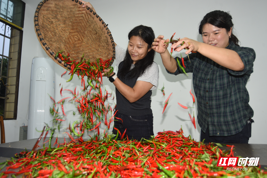 a5903b9bf14b403047d376ed71225fe.jpg a5903b9bf14b403047d376ed71225fe.jpg