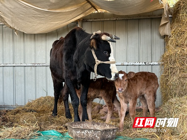 微信图片_20251217153551_265_1.jpg 微信图片_20251217153551_265_1.jpg