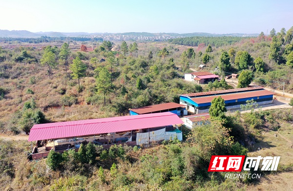 DJI_0871.JPG DJI_0871.JPG