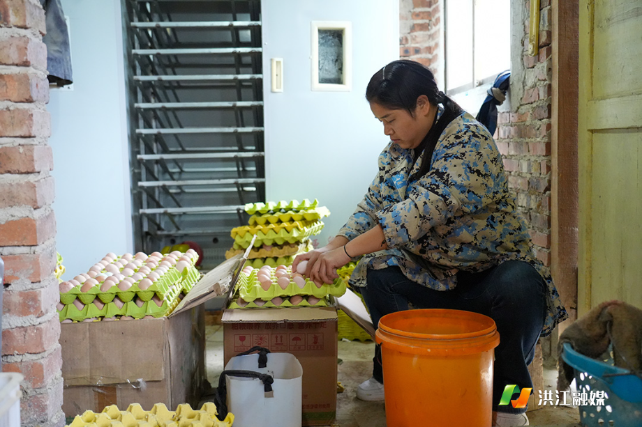 郭小敬:以产业扎根乡土 以履职情系乡亲3.jpg 郭小敬:以产业扎根乡土 以履职情系乡亲3.jpg