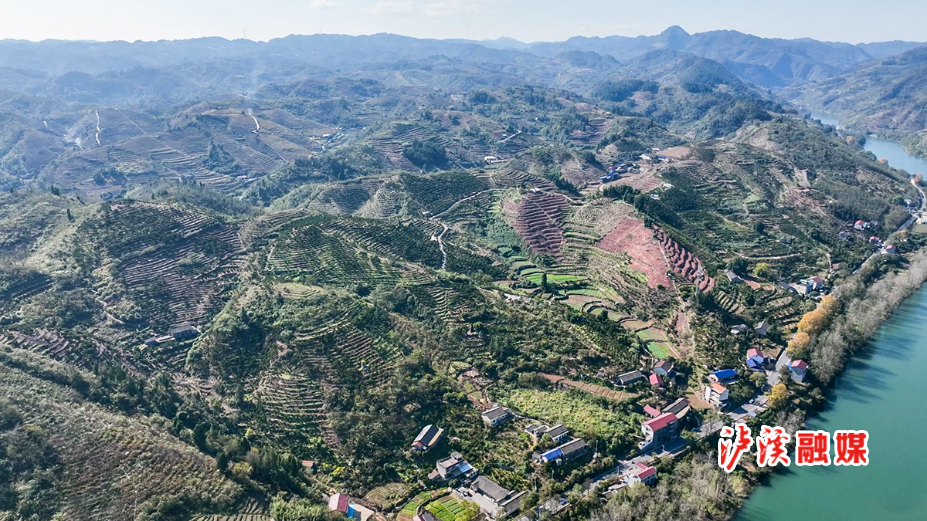 DJI_0085.MP4_20251211_123327.336.jpg