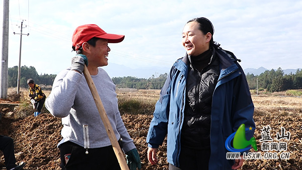 邓群到塔峰镇调研烤烟工作.jpg 邓群到塔峰镇调研烤烟工作.jpg