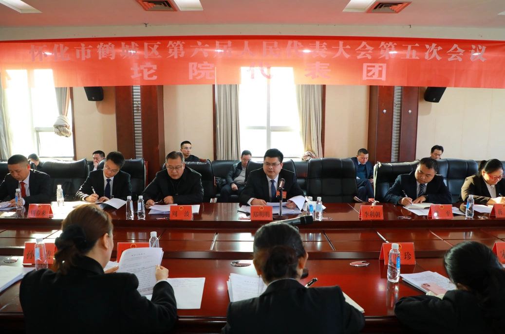 【“鹤”立潮头 “城”势而上—鹤城区两会报道】郑明明参加区六届人大五次会议坨院代表团讨论