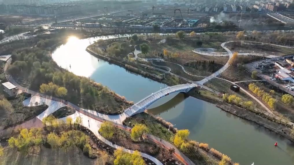 新华视点丨特色产业激活乡村振兴动能