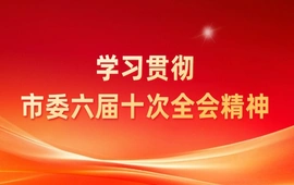 学习贯彻市委六届十次全会精神