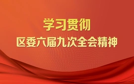 学习贯彻区委六届九次全会精神