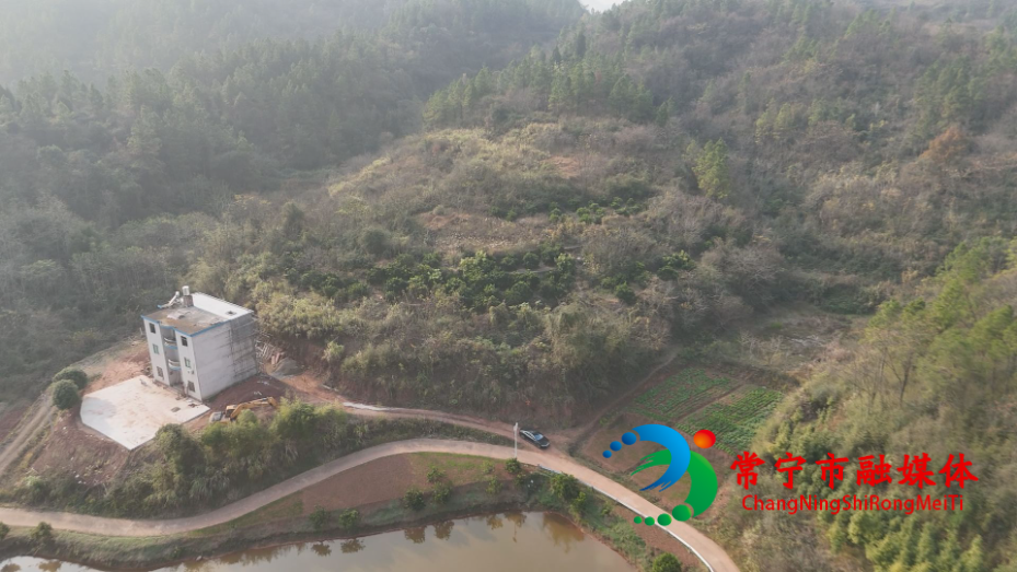 冰糖橙4.jpg 冰糖橙4.jpg