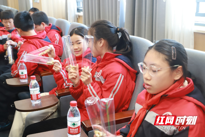 图片11.png 图片11.png