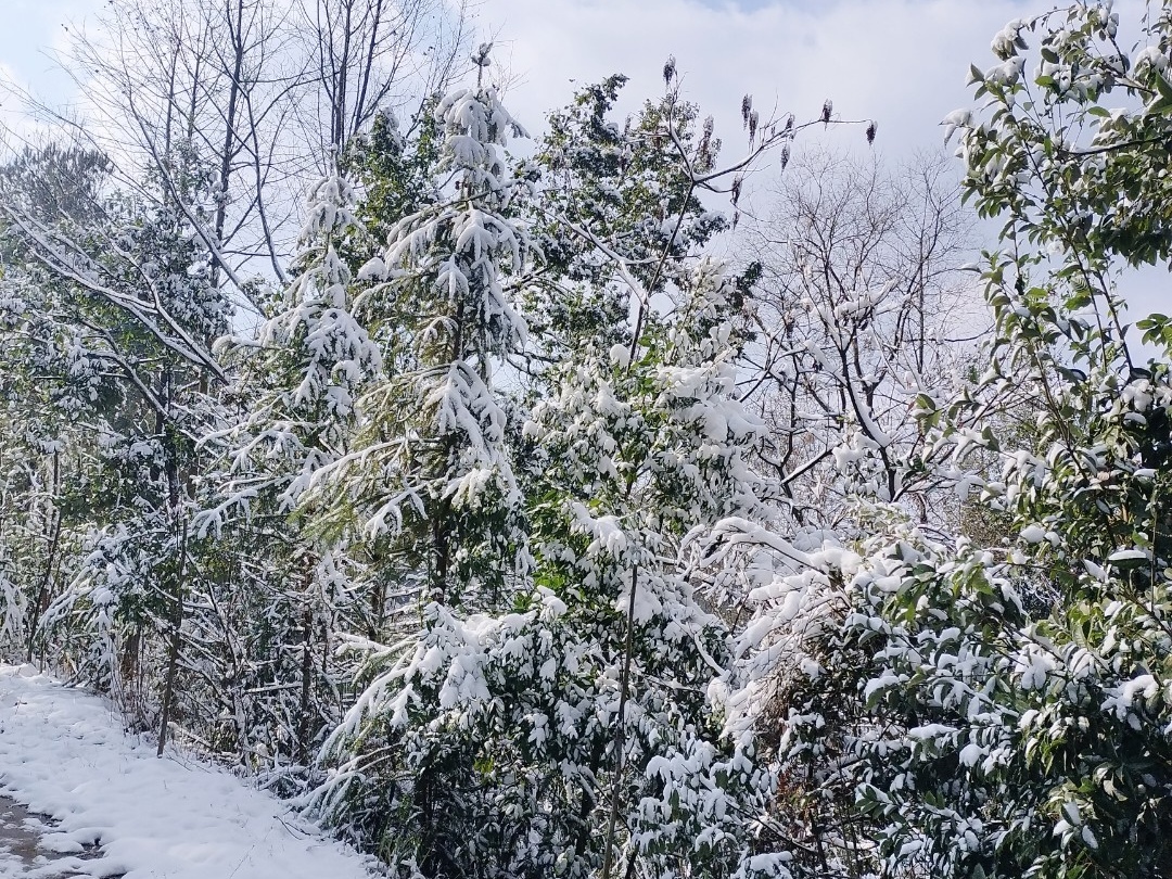 【衡南县站】雪地里的暖光
