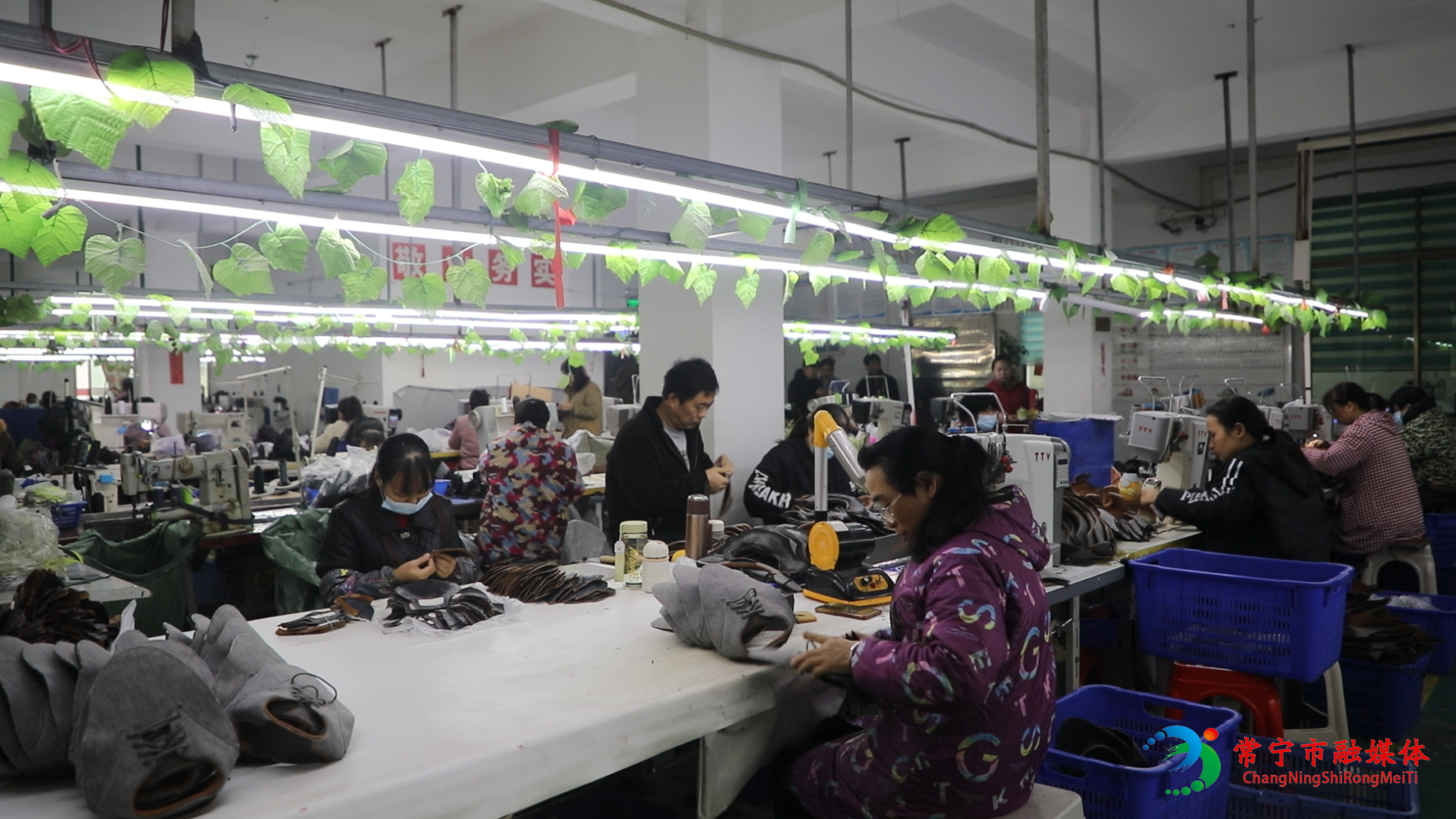 就业12.png 就业12.png