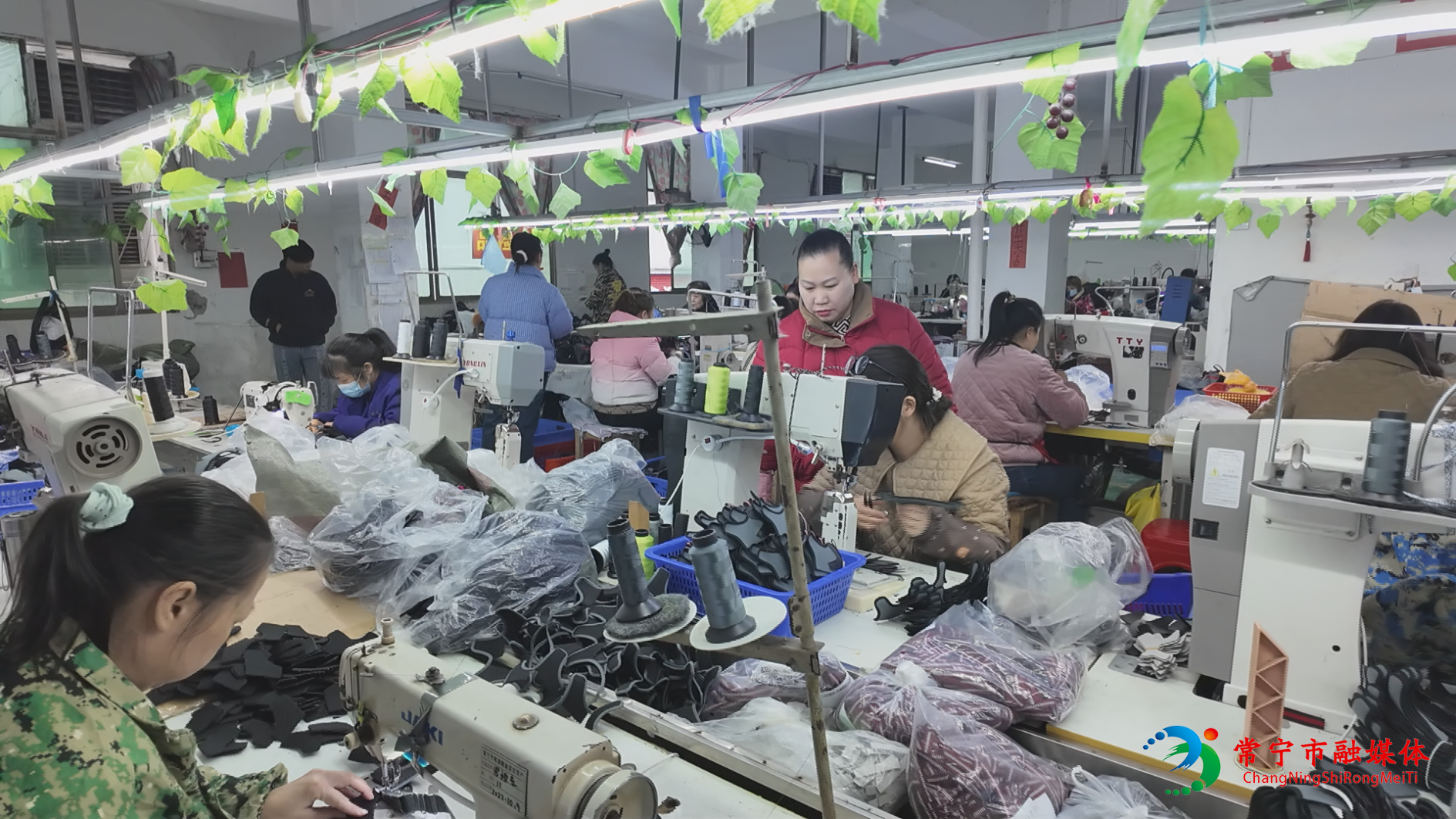 就业1.png 就业1.png