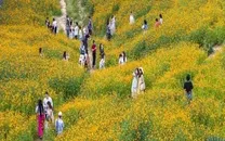 怀化：为无价山水标价 让沉睡资源变现