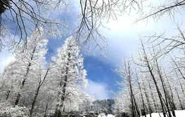 出发！武陵源雾凇雪景即将上线