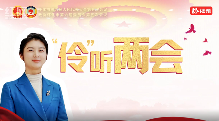 “伶”听两会④丨躬身践使命 实干绘新篇