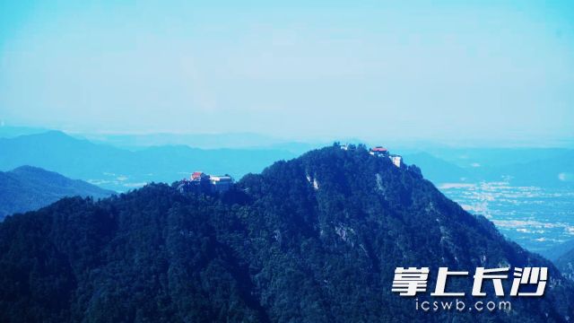 元旦当天冷空气将“打卡”长沙，最低气温-1℃。长沙晚报全媒体记者 舒元臻 摄