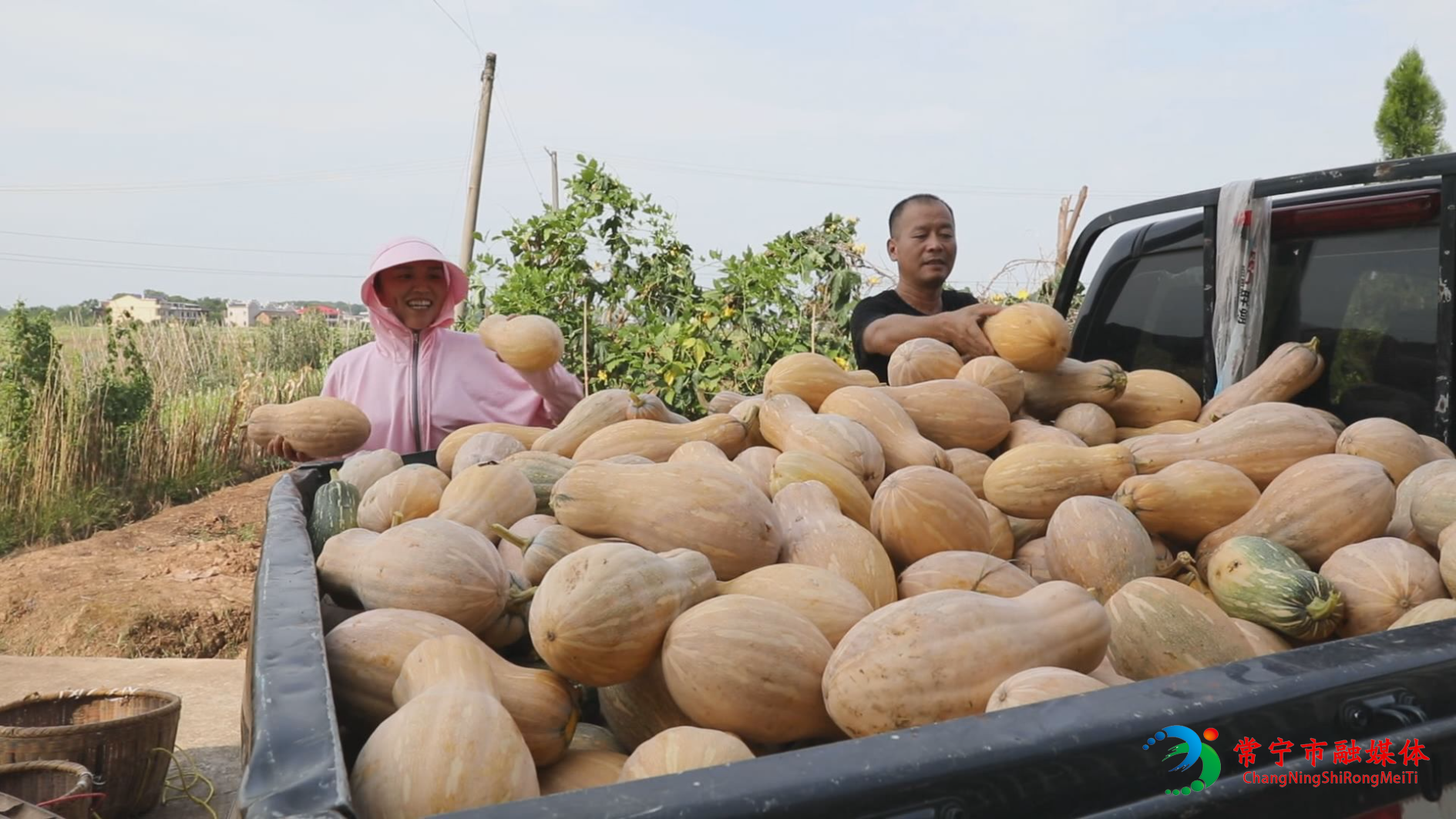 南瓜猪2.jpg 南瓜猪2.jpg