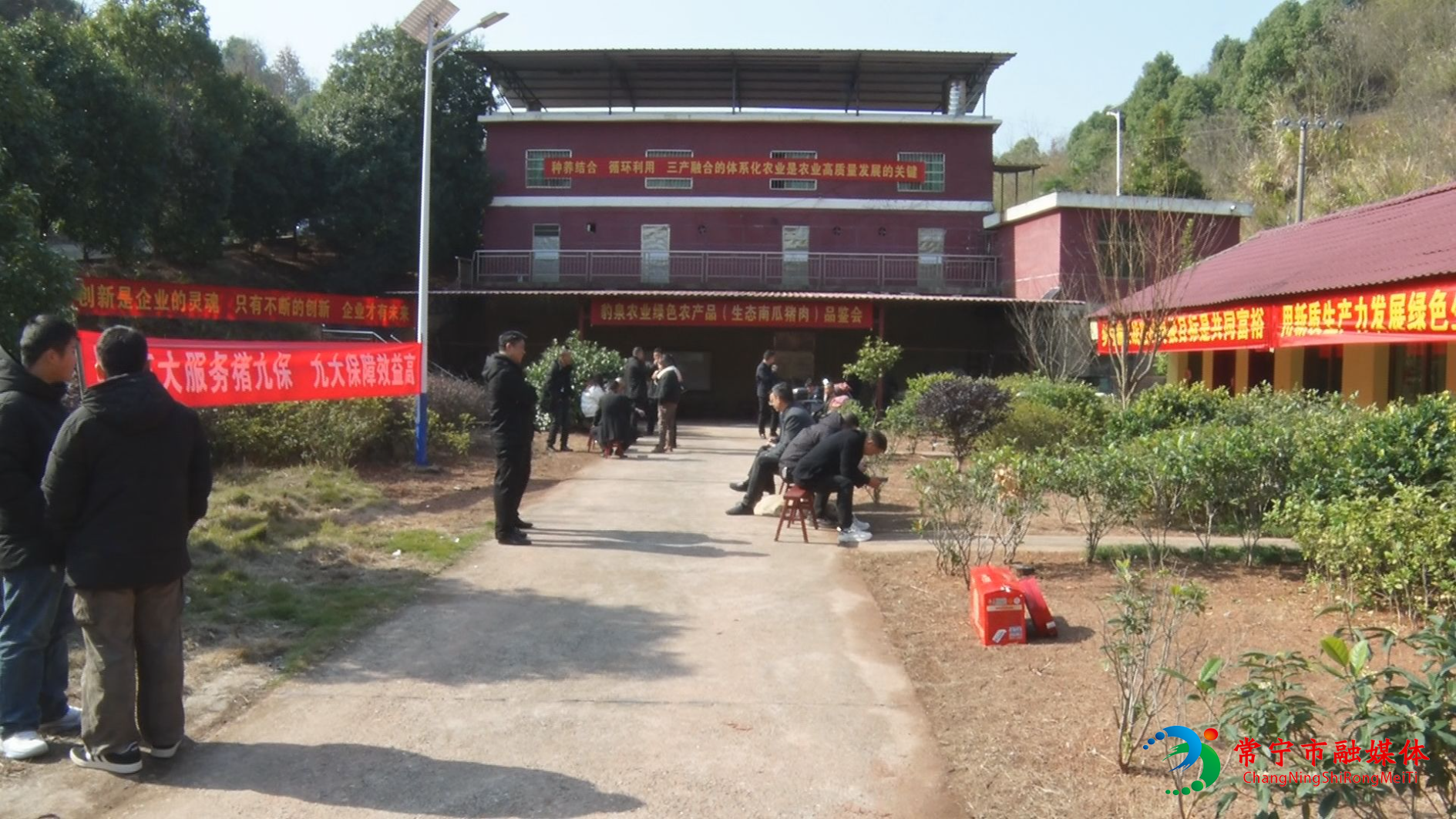 南瓜猪3.jpg 南瓜猪3.jpg