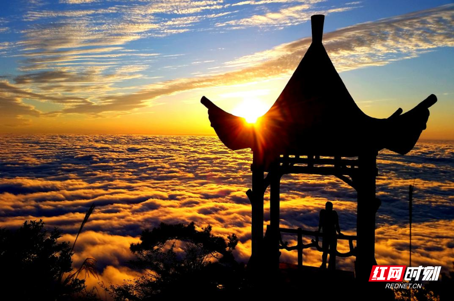 图片6.png 图片6.png