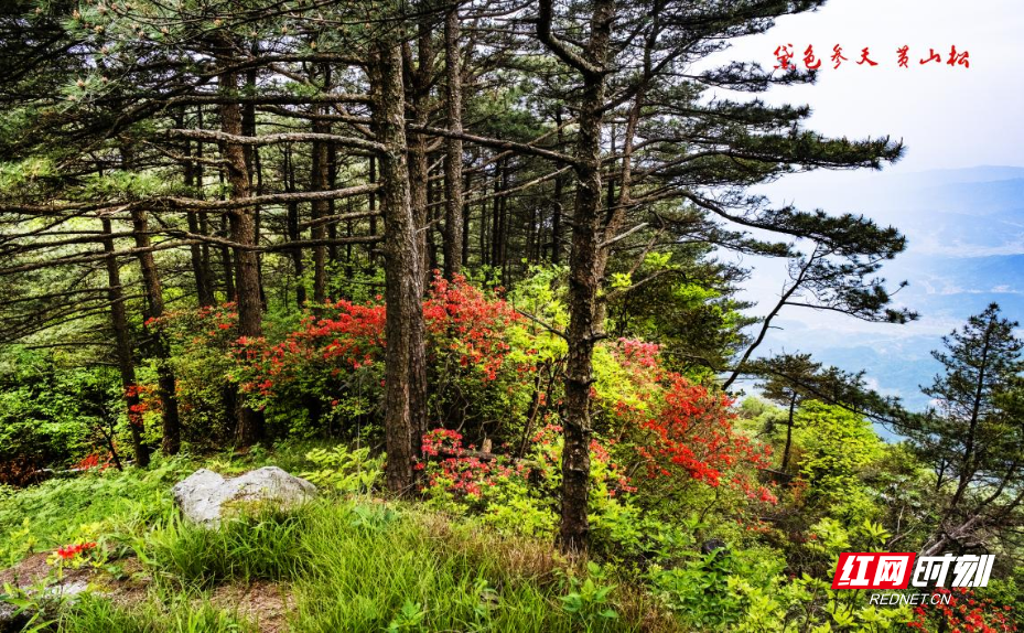 图片4.png 图片4.png