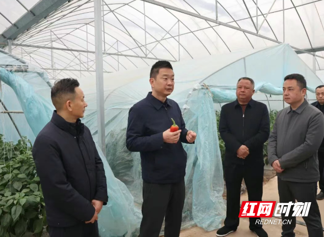 微信图片_20251231103020_66_3.png 微信图片_20251231103020_66_3.png