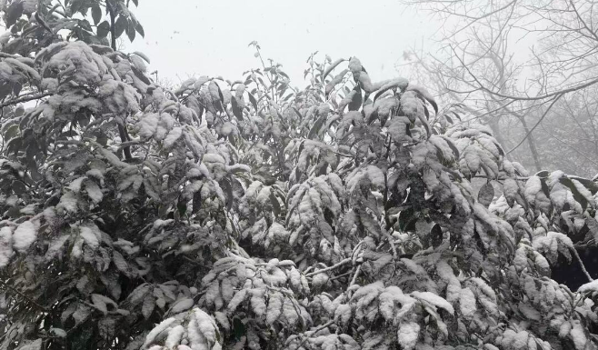 跨年有雪，张家界天门山飞雪迎新年