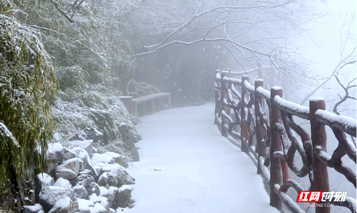 张家界七星山雪后美成童话 元旦可赴冰雪之约