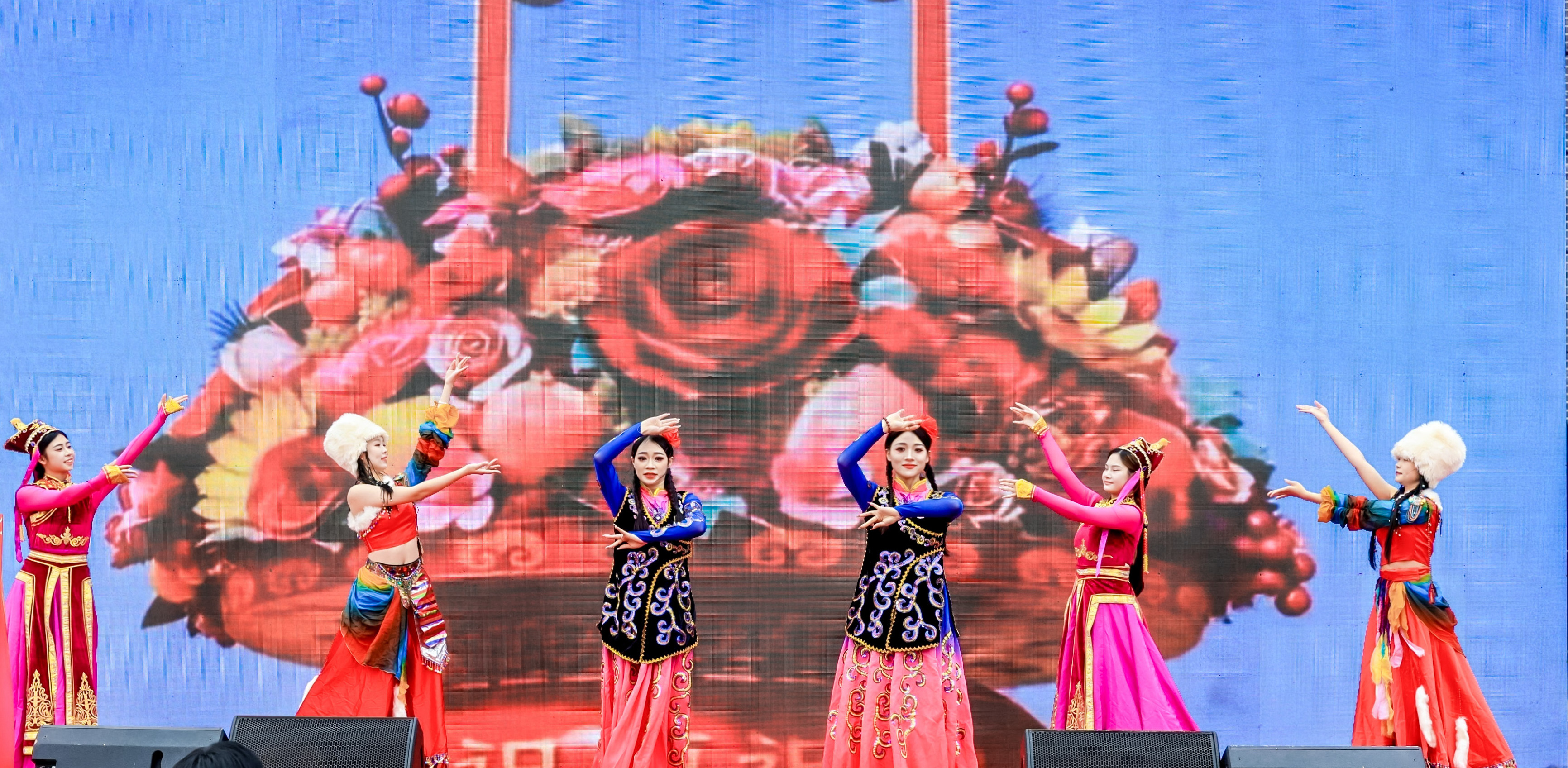 DZX_5576-opq4258441087