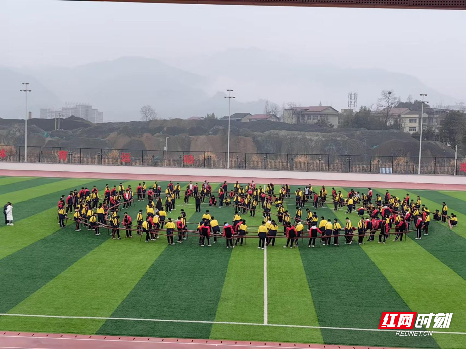 image4.jpeg image4.jpeg