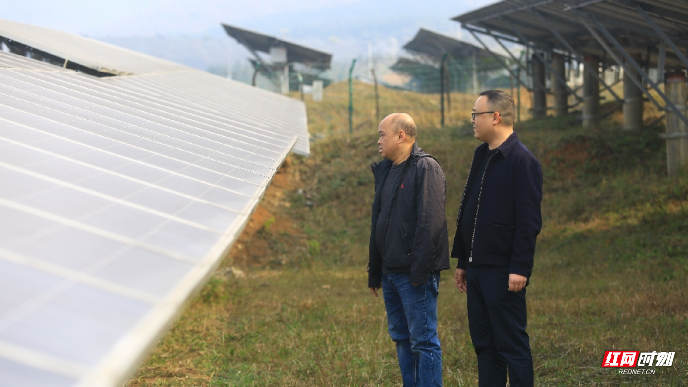 383A3494_副本.jpg 383A3494_副本.jpg