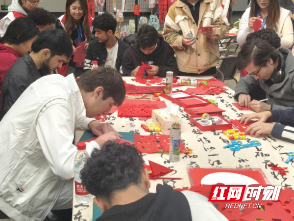 图片8.png 图片8.png