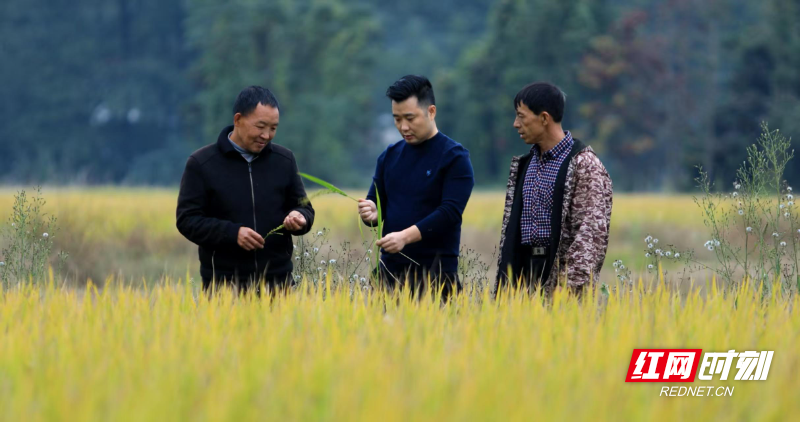 WechatIMG6765.jpeg WechatIMG6765.jpeg