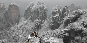 赏瑞雪 迎新年