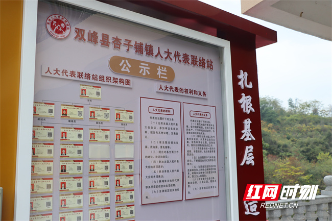 双峰县杏子铺镇人大代表联络站公示栏.JPG