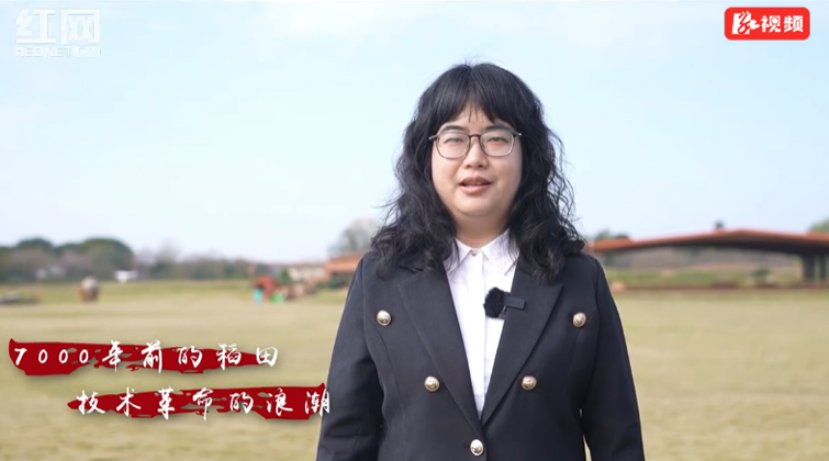 党校老师带您走进故事常德丨藏在城头山里的农耕文明密码