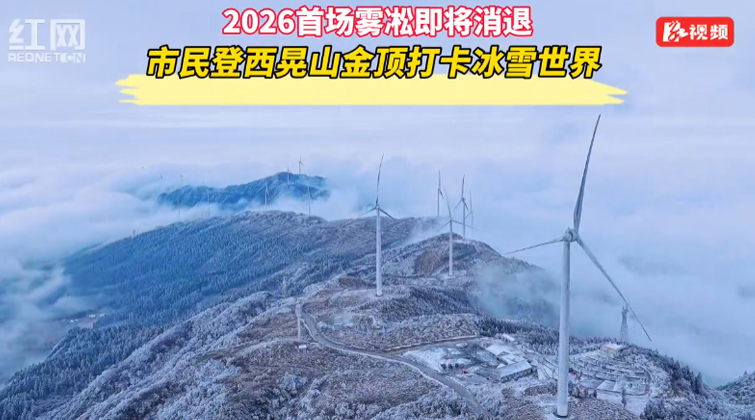 视频丨新年首场雾凇即将消退 市民登西晃山金顶打卡冰雪世界