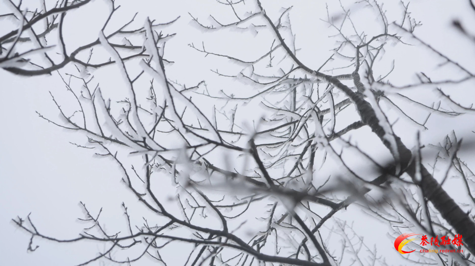 Still0105_00000.jpg Still0105_00000.jpg