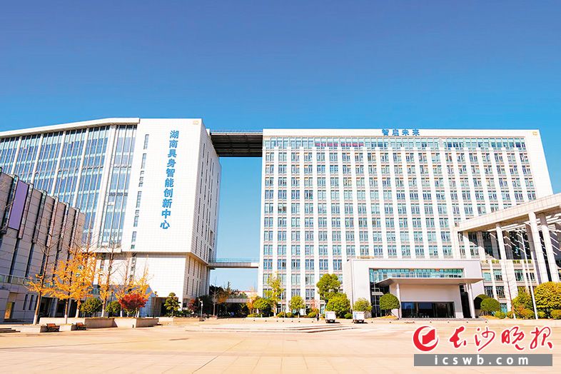 湖南具身智能创新中心。均为园区供图