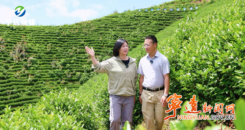 《主特产业看宁远》专栏圆满收官2_副本500.png