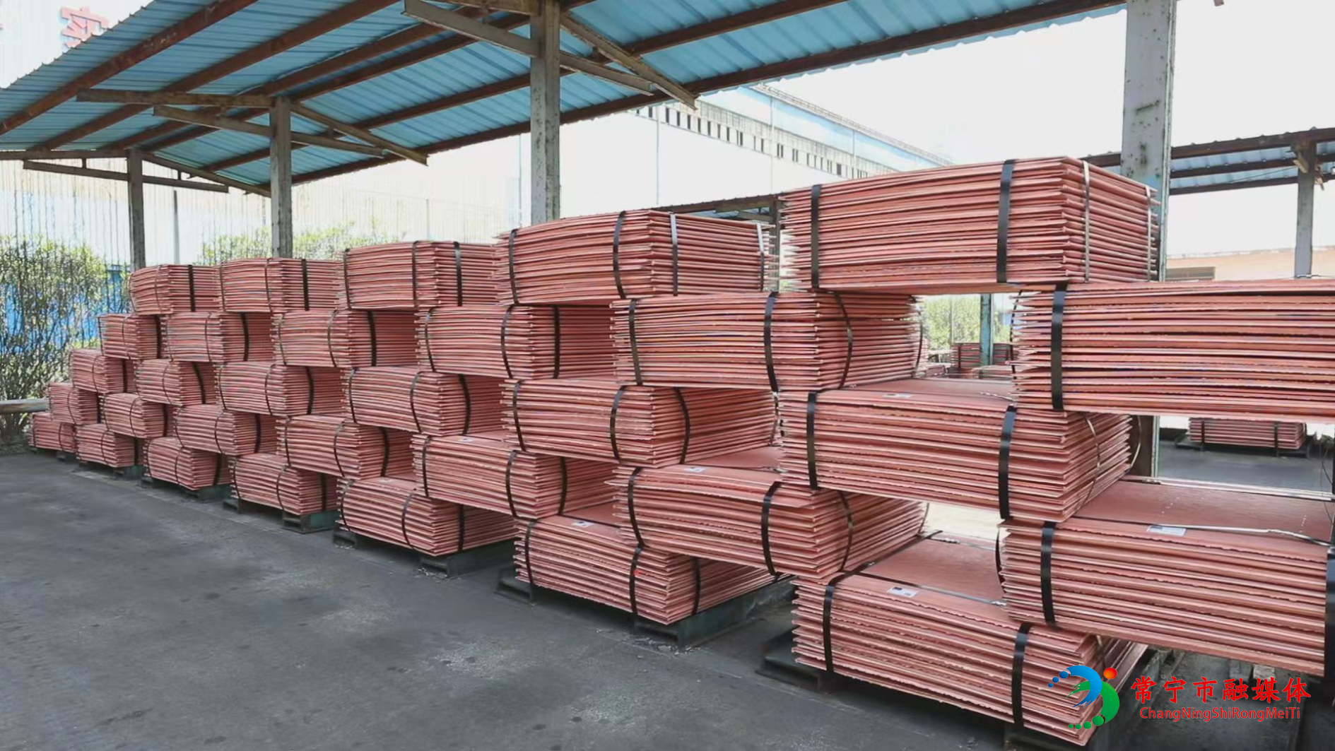 五矿铜业 (5).jpg