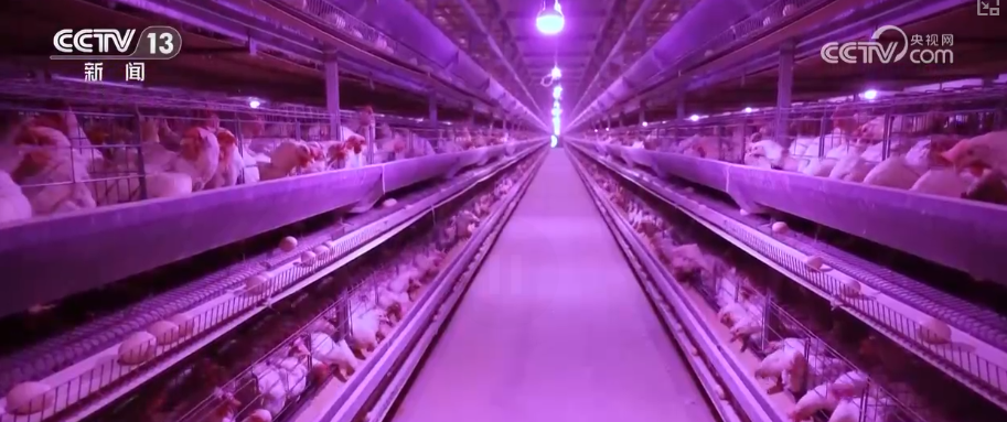 政策“精准滴灌”服务乡村产业振兴 “沉睡资产”变成“活资金”助农增收