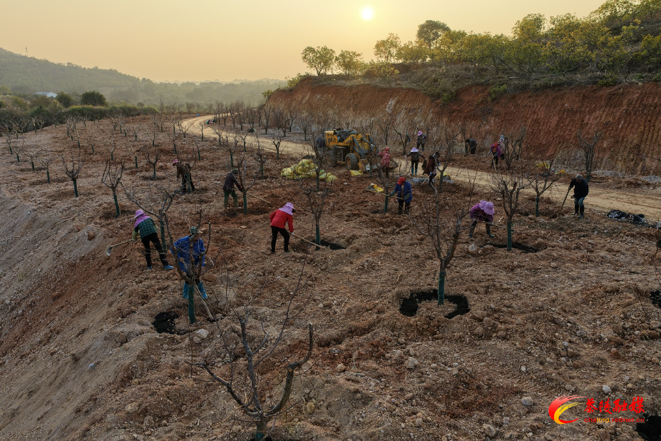 微信图片_20260107151243_1211_23.jpg 微信图片_20260107151243_1211_23.jpg