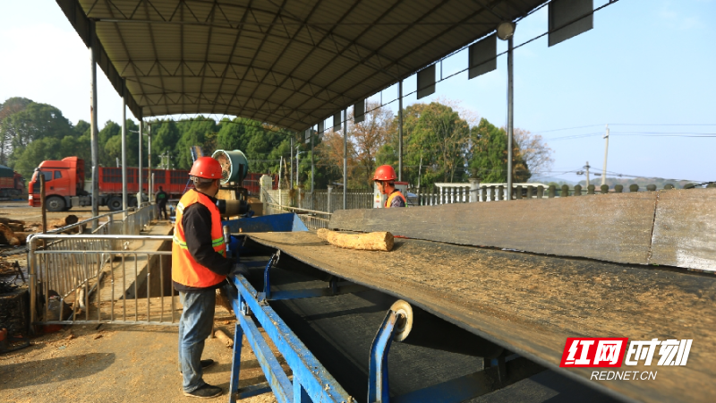 383A3522_副本.jpg 383A3522_副本.jpg