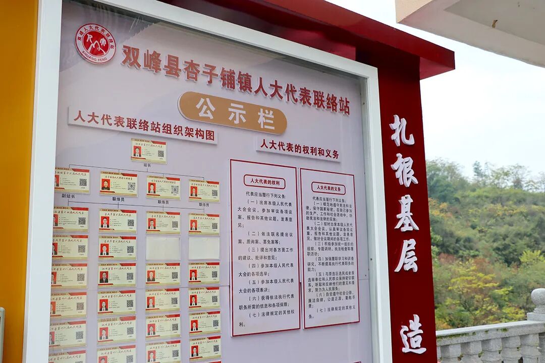 双峰县杏子铺镇人大代表联络站公示栏.JPG