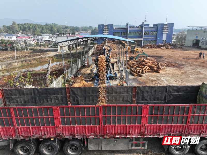 DJI_20260106101929_0439_D_副本.jpg DJI_20260106101929_0439_D_副本.jpg