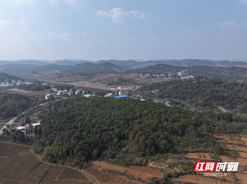 DJI_20260106133023_0447_D_副本.jpg DJI_20260106133023_0447_D_副本.jpg