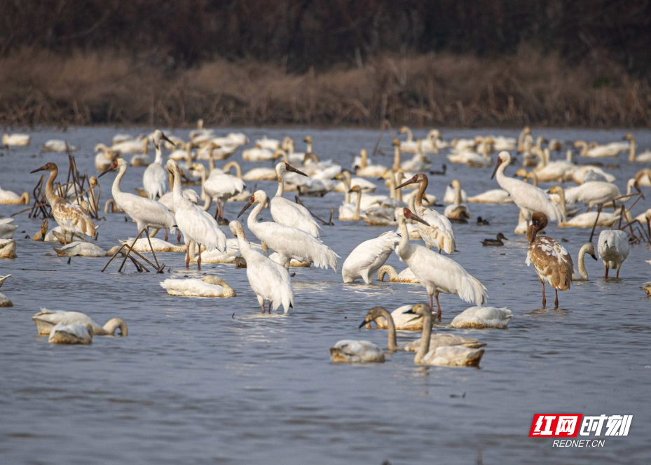 图片7.png 图片7.png