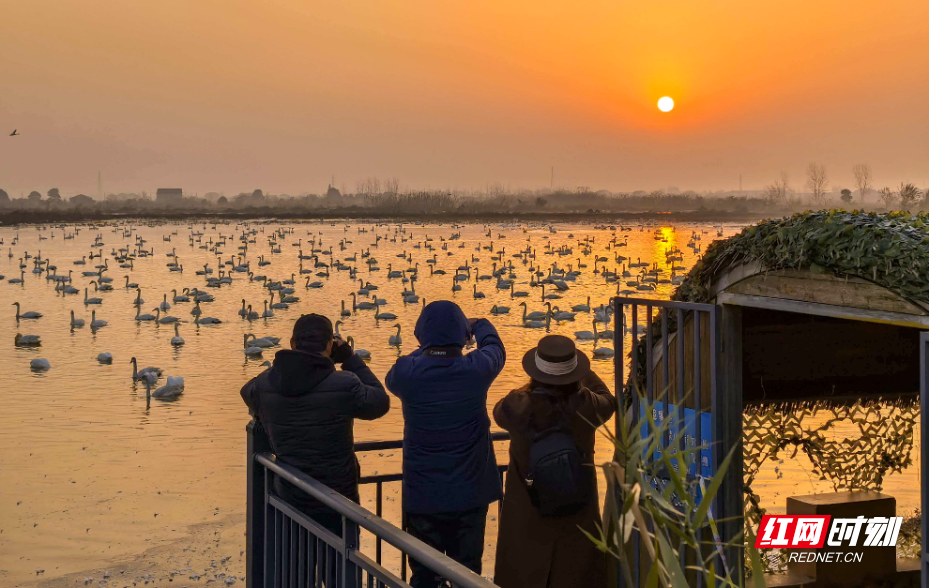 图片10.png 图片10.png