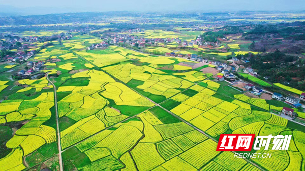 水东镇鸟瞰图2.jpg 水东镇鸟瞰图2.jpg